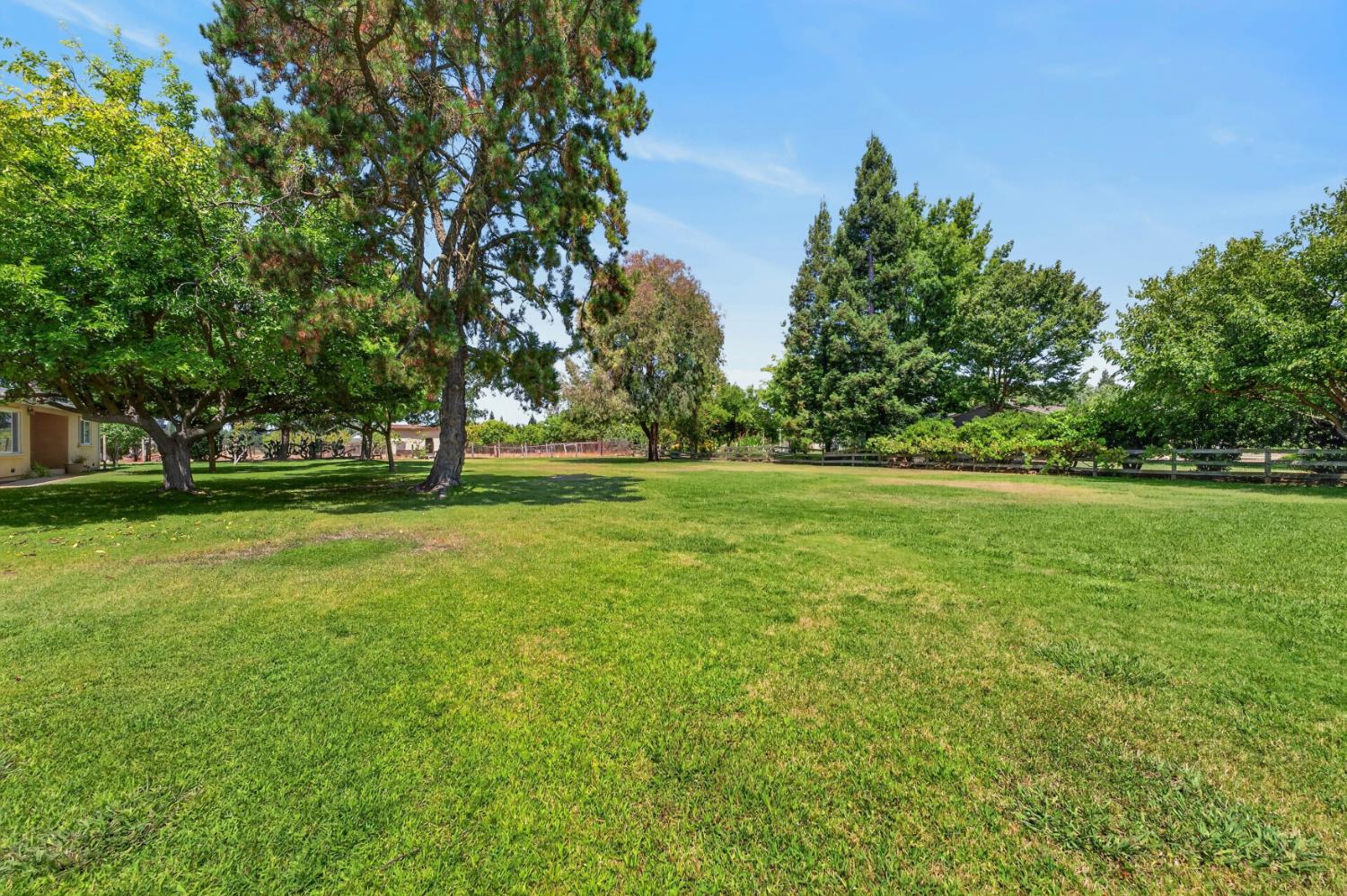 8986 Mooney Road Elk Grove, CA 95624 - Photo 8 of 92 Gallery Image 8