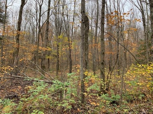 80-acres (mol) 80-acres (mol) Road Merrill, WI 54452 - Photo 1 of 1