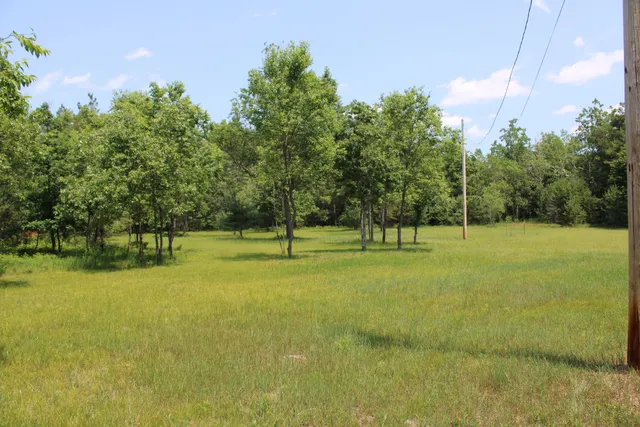 $122,500 | 6573 Williams Trail, Grayling, MI 49738