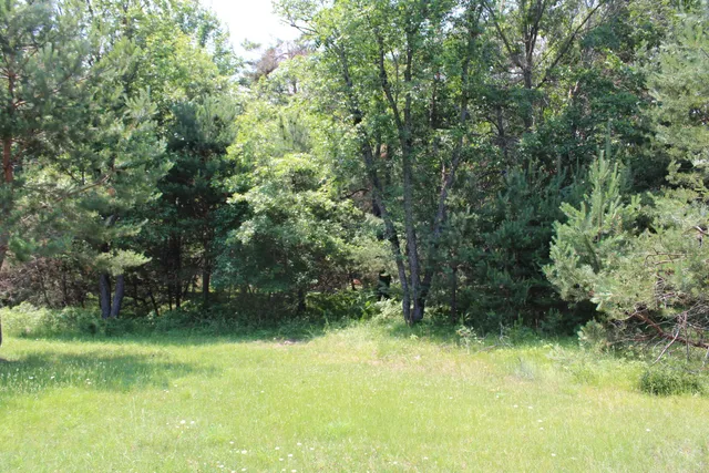 $122,500 | 6573 Williams Trail, Grayling, MI 49738