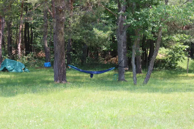 $122,500 | 6573 Williams Trail, Grayling, MI 49738