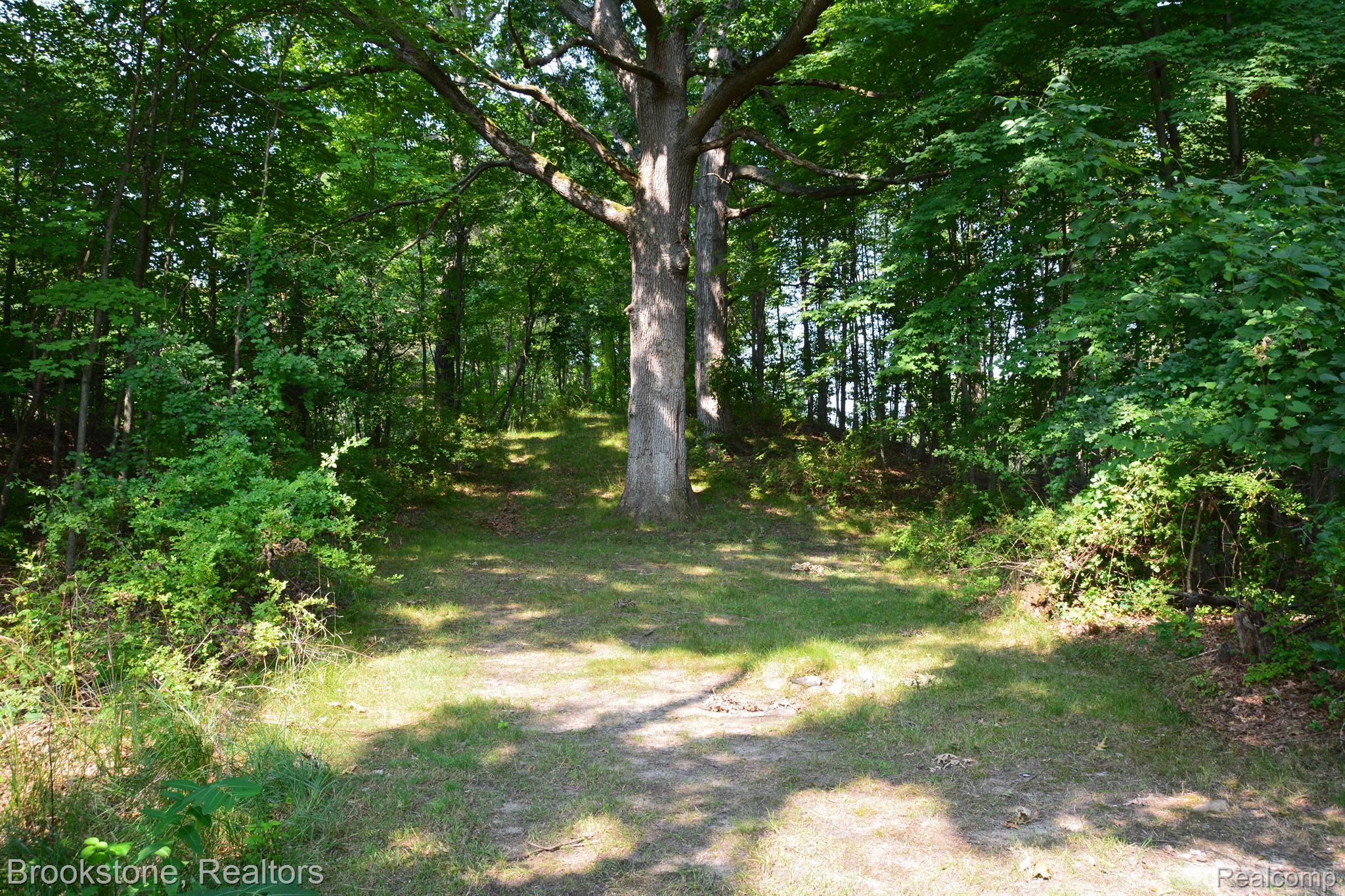 8455 Rattalee Lake Road Clarkston, MI 48348 - Photo 50 of 62 Gallery Image 50
