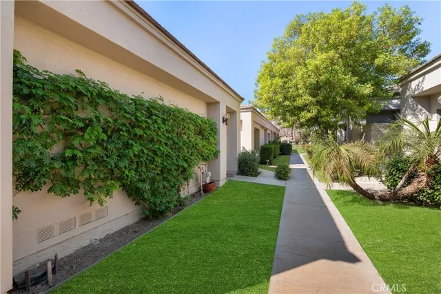 a view of a yard with plants and large trees