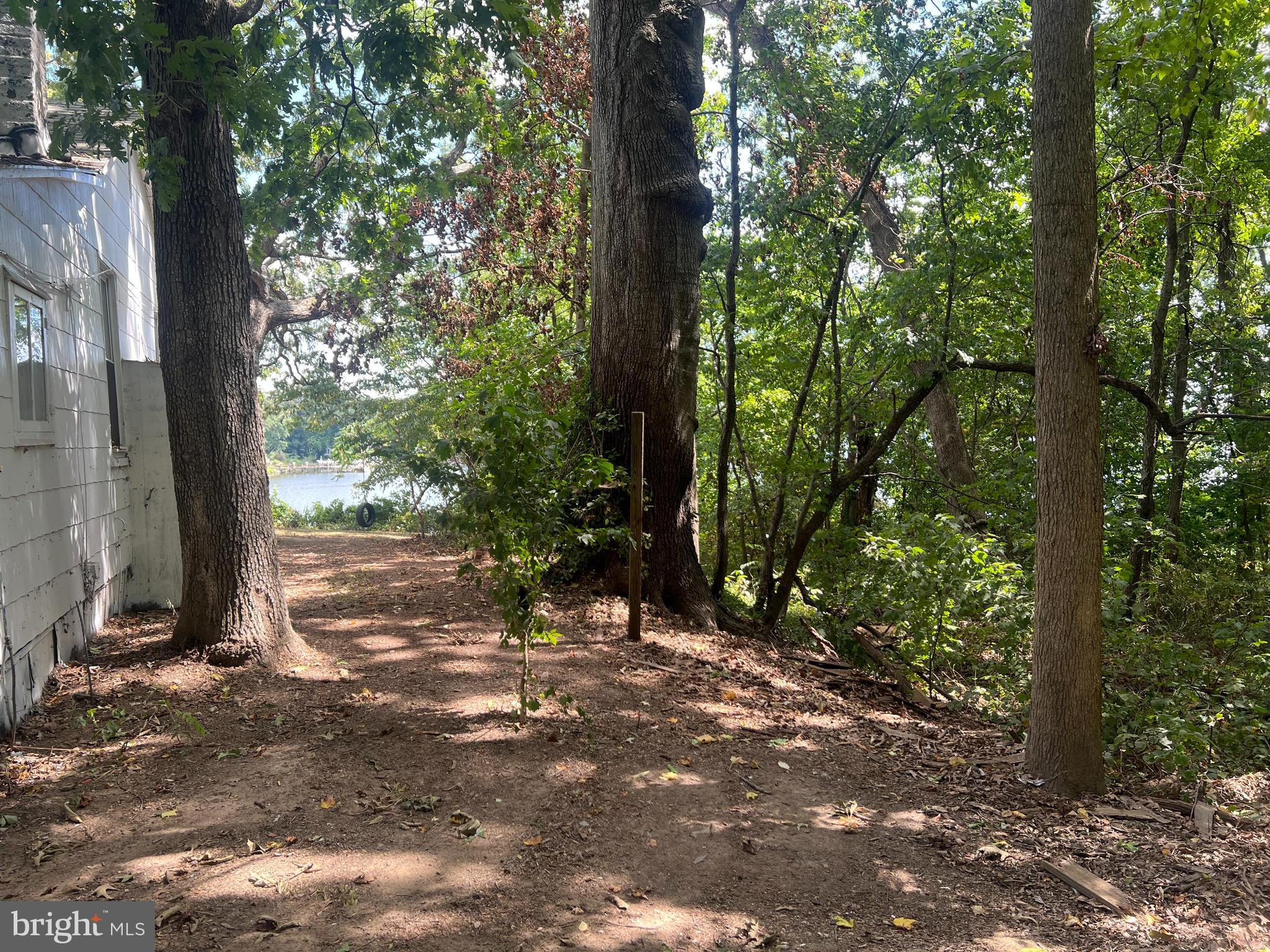 1 Punte Lane Essex, MD 21221 - Photo 12 of 37 a view of a tree with a tree