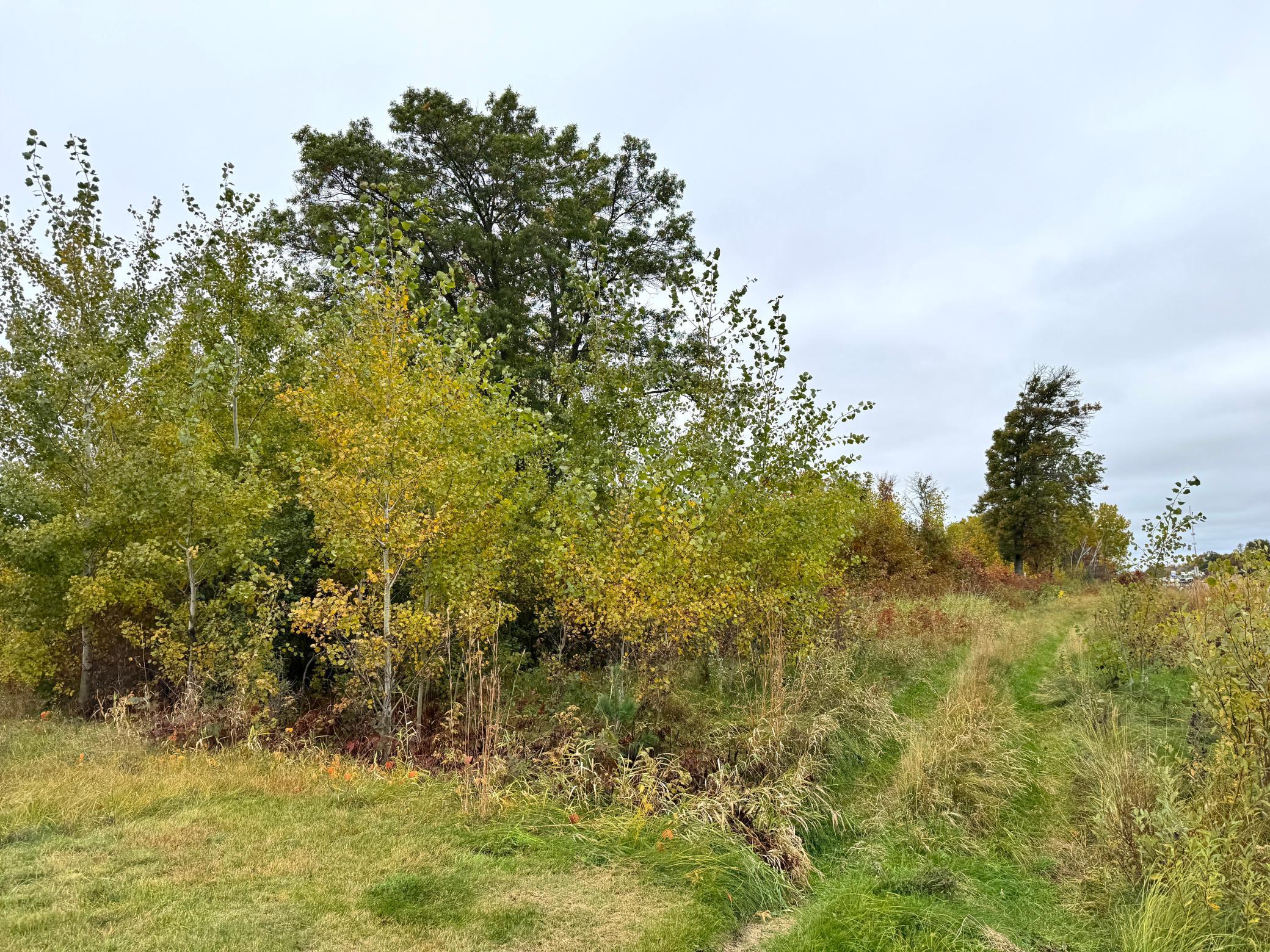 371 Brainerd Mn 56401 Brainerd, MN 56401 - Photo 13 of 25