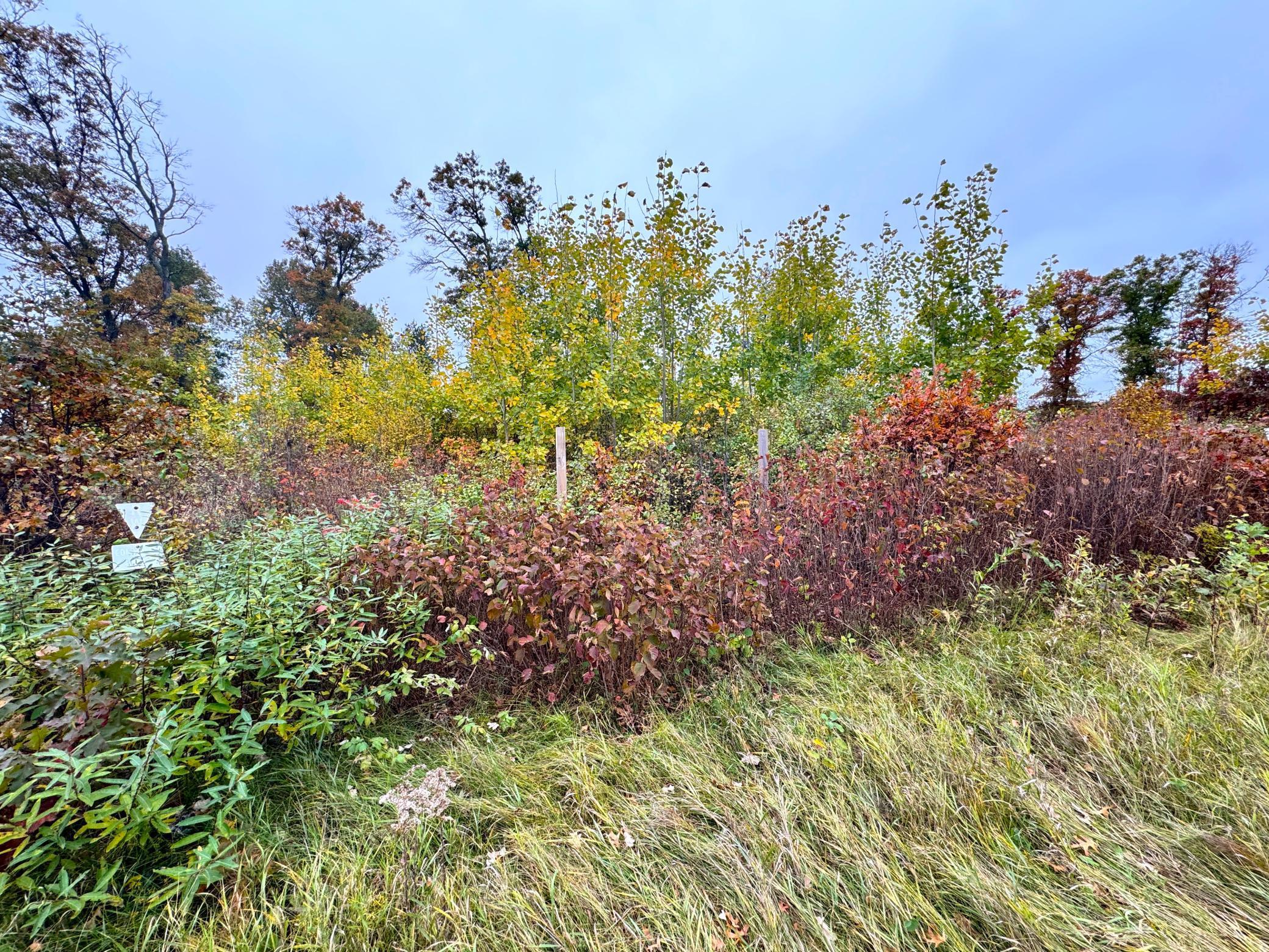 371 Brainerd Mn 56401 Brainerd, MN 56401 - Photo 15 of 25