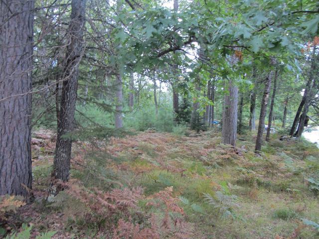 On On Eagles Ridge Eagle River, WI 54521 - Photo 6 of 12 Gallery Image 6