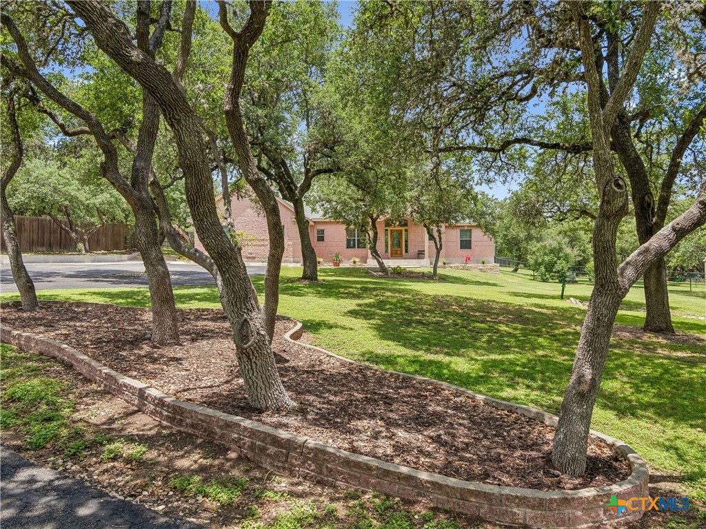 184 Stockman Circle Spring Branch, TX 78070 - Photo 3 of 47