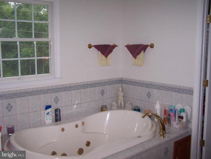 17389 Stoney Point Road King George, VA 22485 - Photo 11 of 28 Bath (Master)