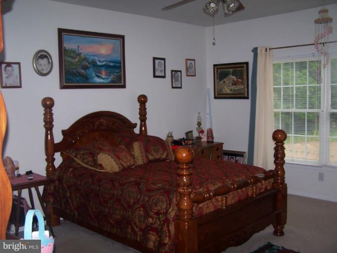 17389 Stoney Point Road King George, VA 22485 - Photo 20 of 28 Bedroom (Master)