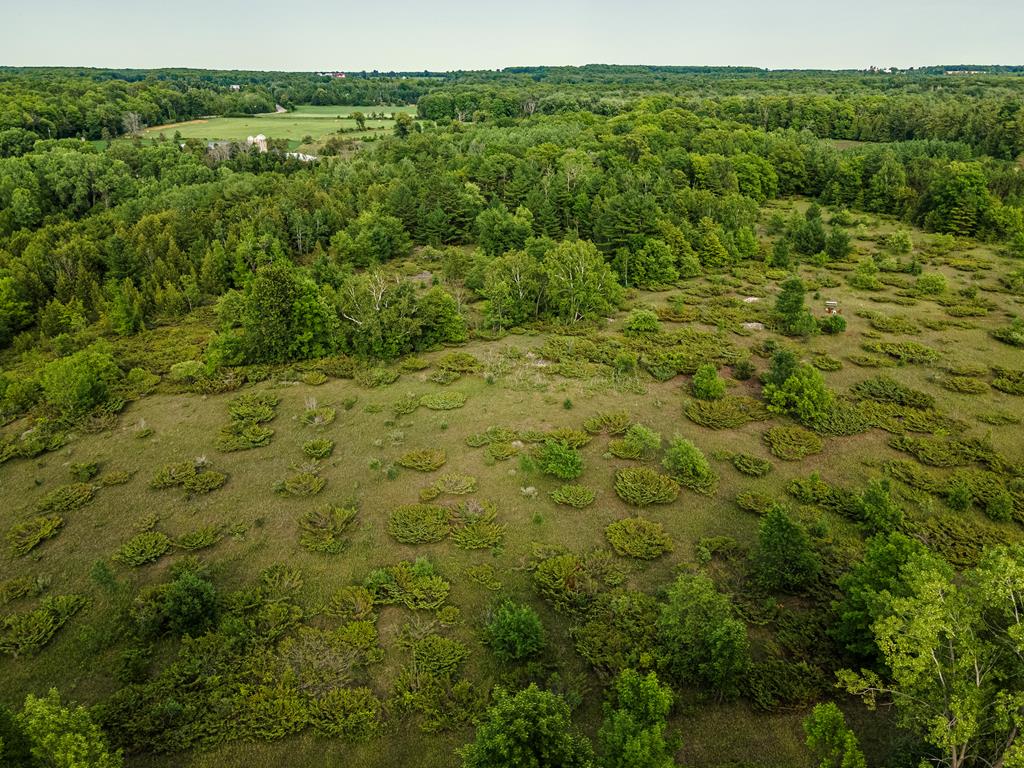 Tbd Division Road Egg Harbor, WI 54209 - Photo 17 of 17