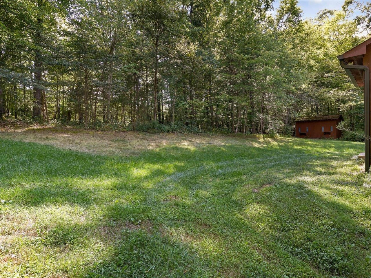 4301 Amberwood Road Haw River, NC 27258 - Photo 59 of 70 Back of Yard