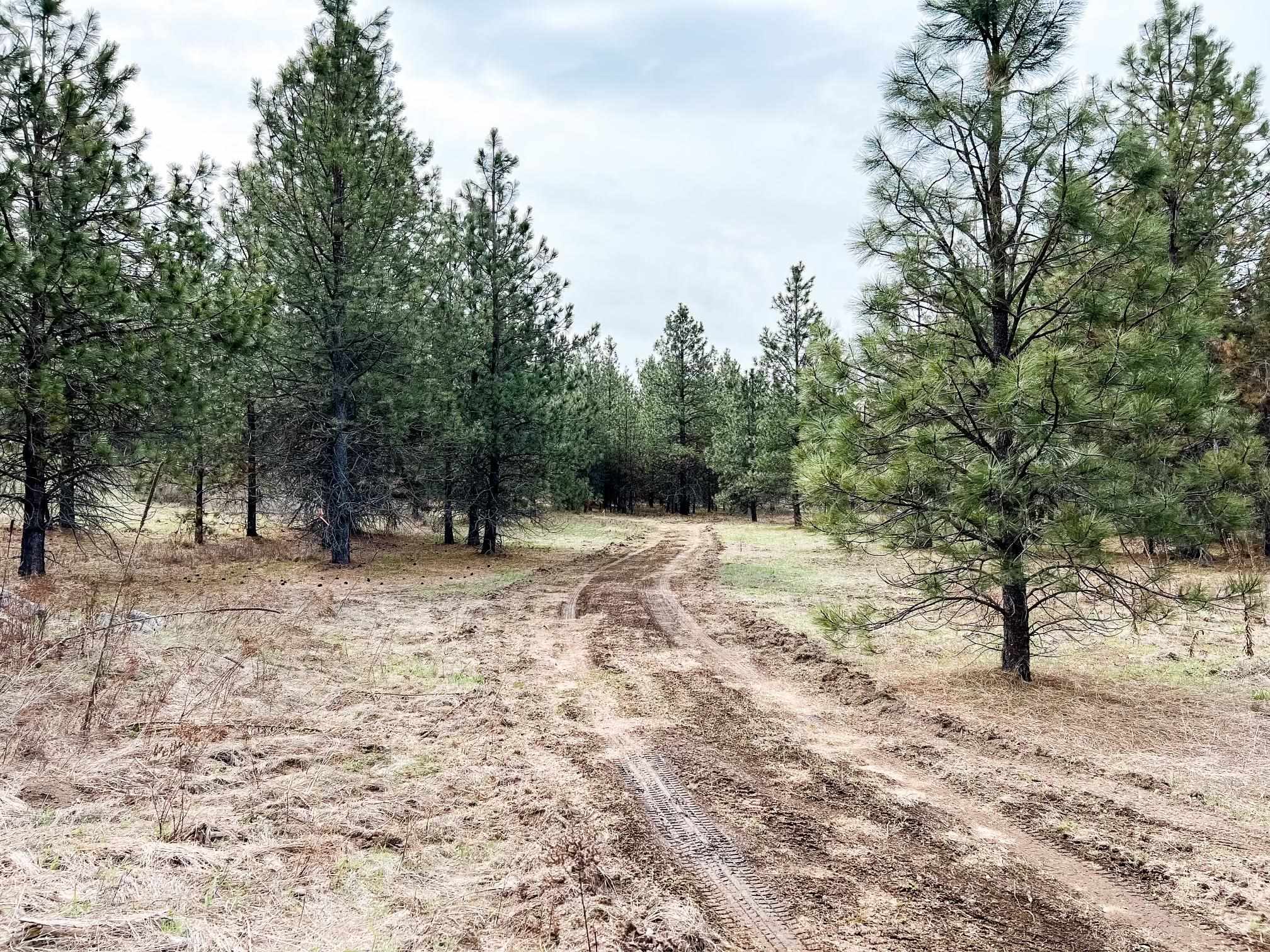 1 Artman-Gibson Road Colville, WA 99114 - Photo 8 of 15 Gallery Image 8