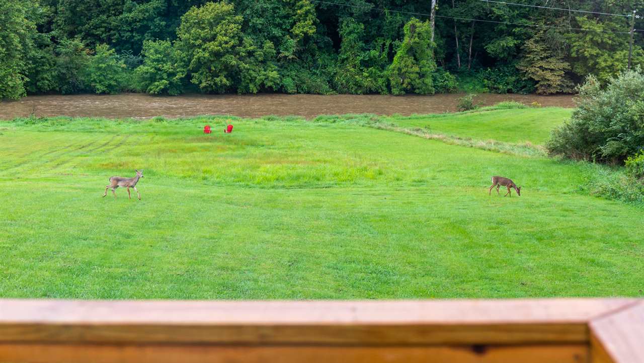 561 Rife's Ford Road Verona, VA 24482 - Photo 50 of 50 a view of a golf course with a park