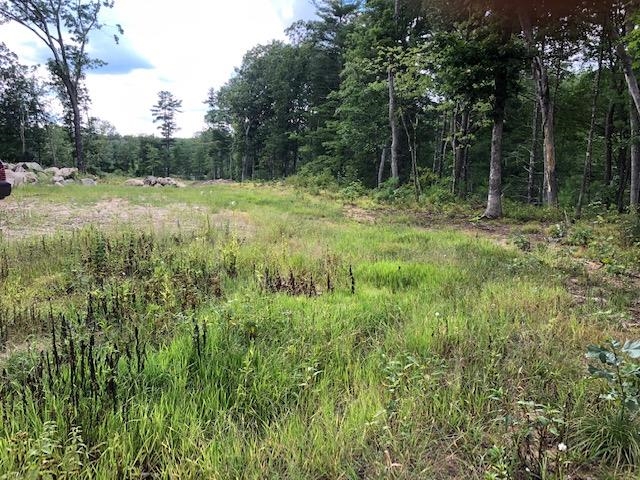 Lot 2-170-37-1 Boston Post Road Amherst, NH 03031 - Photo 1 of 6