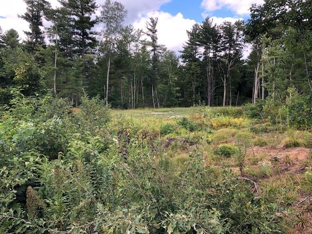 Lot 2-170-37-1 Boston Post Road Amherst, NH 03031 - Photo 4 of 6