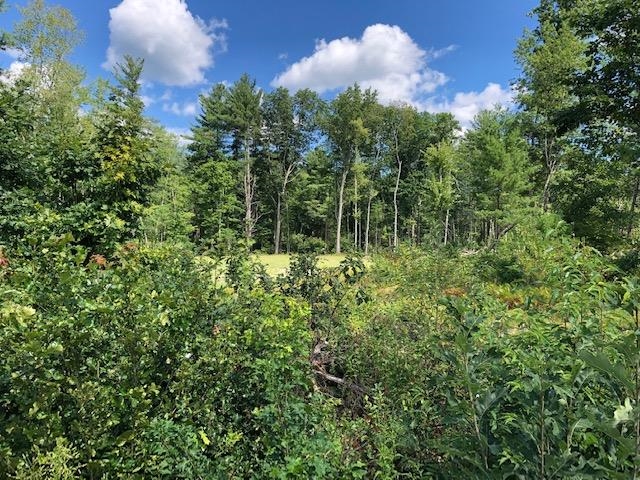 Lot 2-170-37-1 Boston Post Road Amherst, NH 03031 - Photo 6 of 6