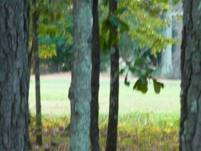 158 Foxhound Run Road Aiken, SC 29803 - Photo 14 of 18 Gallery Image 14