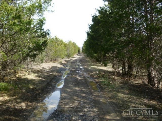 0 State Rte 41 West Union, OH 45693 - Photo 49 of 65 This is the road after turning left to go toward the property.