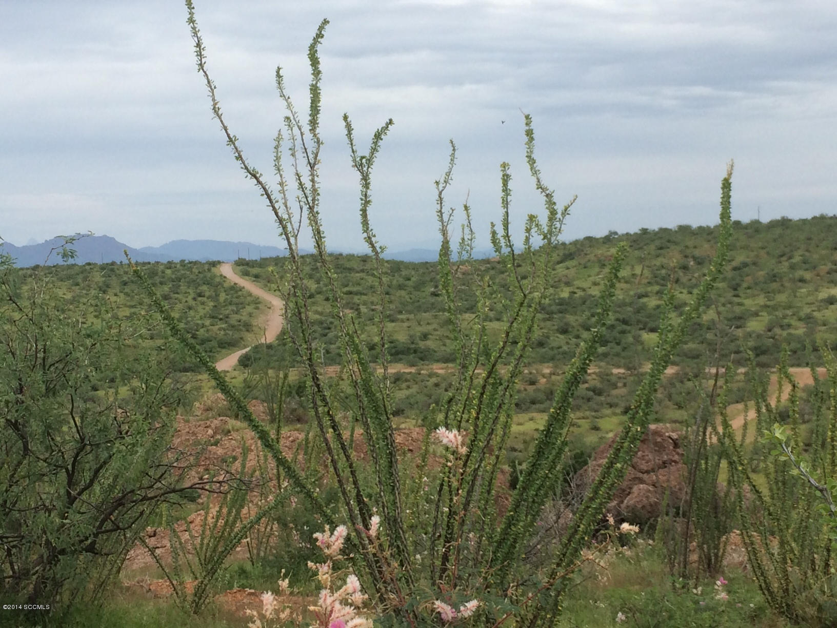 Tbd Tbd Camino Carina Rio Rico, AZ 85648 - Photo 6 of 10