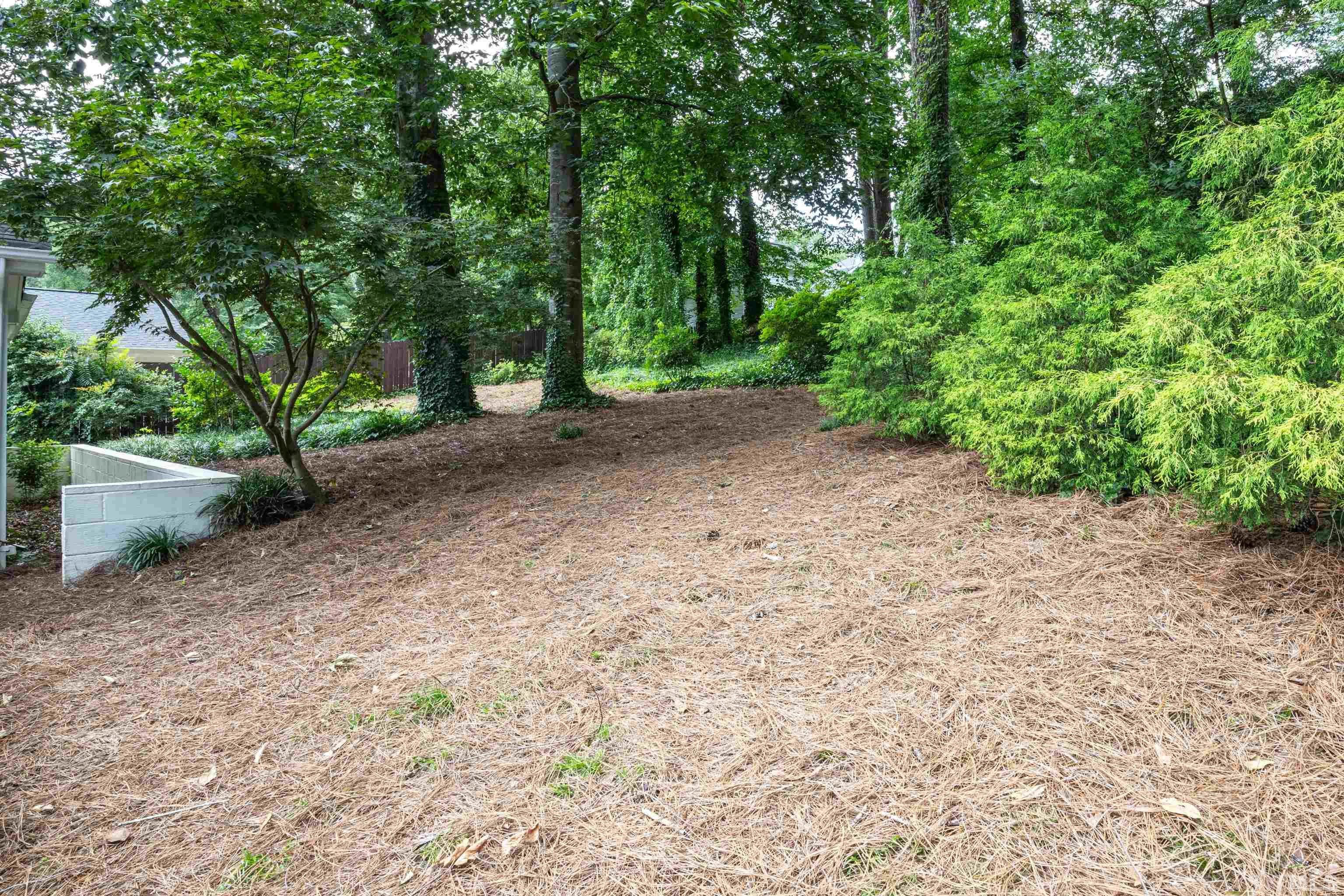 816 Davidson Street Raleigh, NC 27609 - Photo 36 of 36 a view of a forest with trees in the background