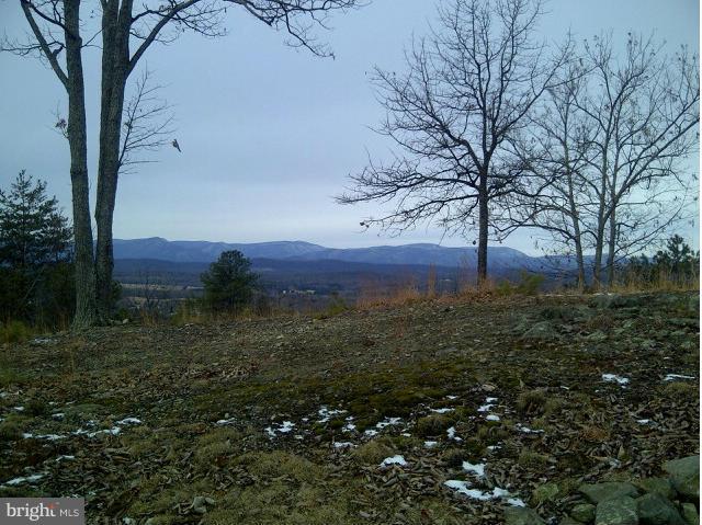 The Mountain Road Culpeper, VA 22701 - Photo 1 of 4 View