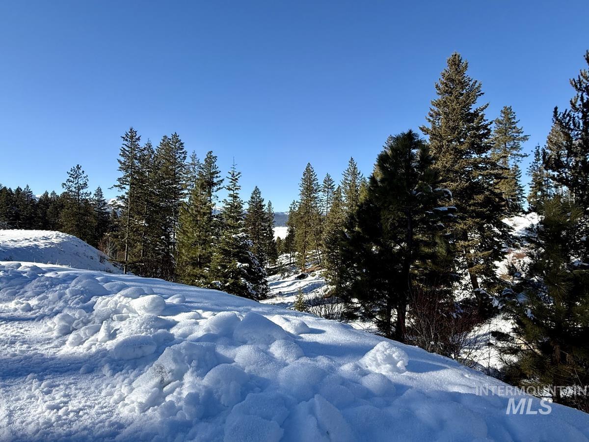 L1-b2 L1-b2 San Ignacio Way Cascade, ID 83611 - Photo 12 of 15