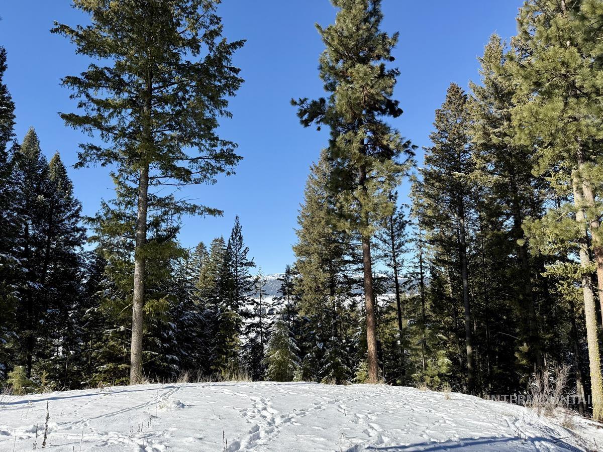 L1-b2 L1-b2 San Ignacio Way Cascade, ID 83611 - Photo 2 of 15