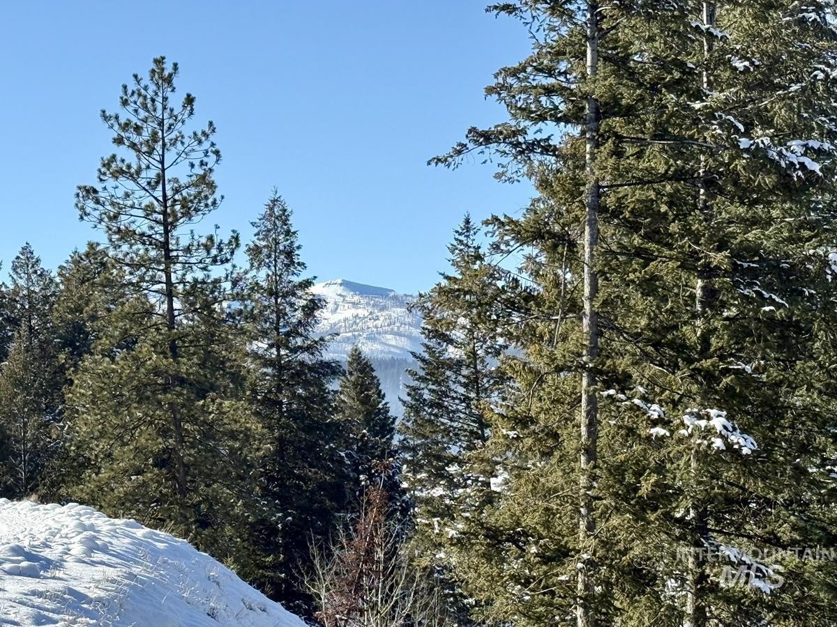 L1-b2 L1-b2 San Ignacio Way Cascade, ID 83611 - Photo 3 of 15