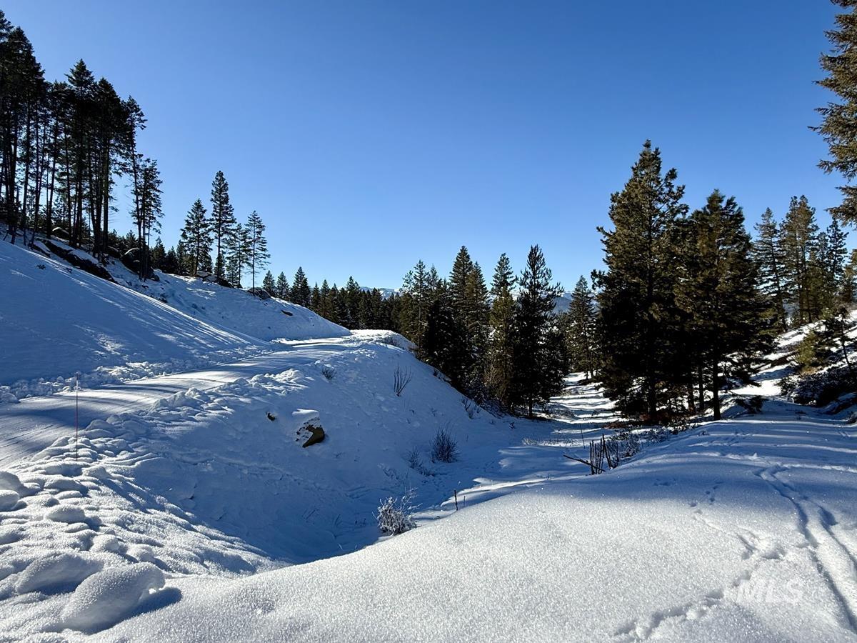 L1-b2 L1-b2 San Ignacio Way Cascade, ID 83611 - Photo 6 of 15