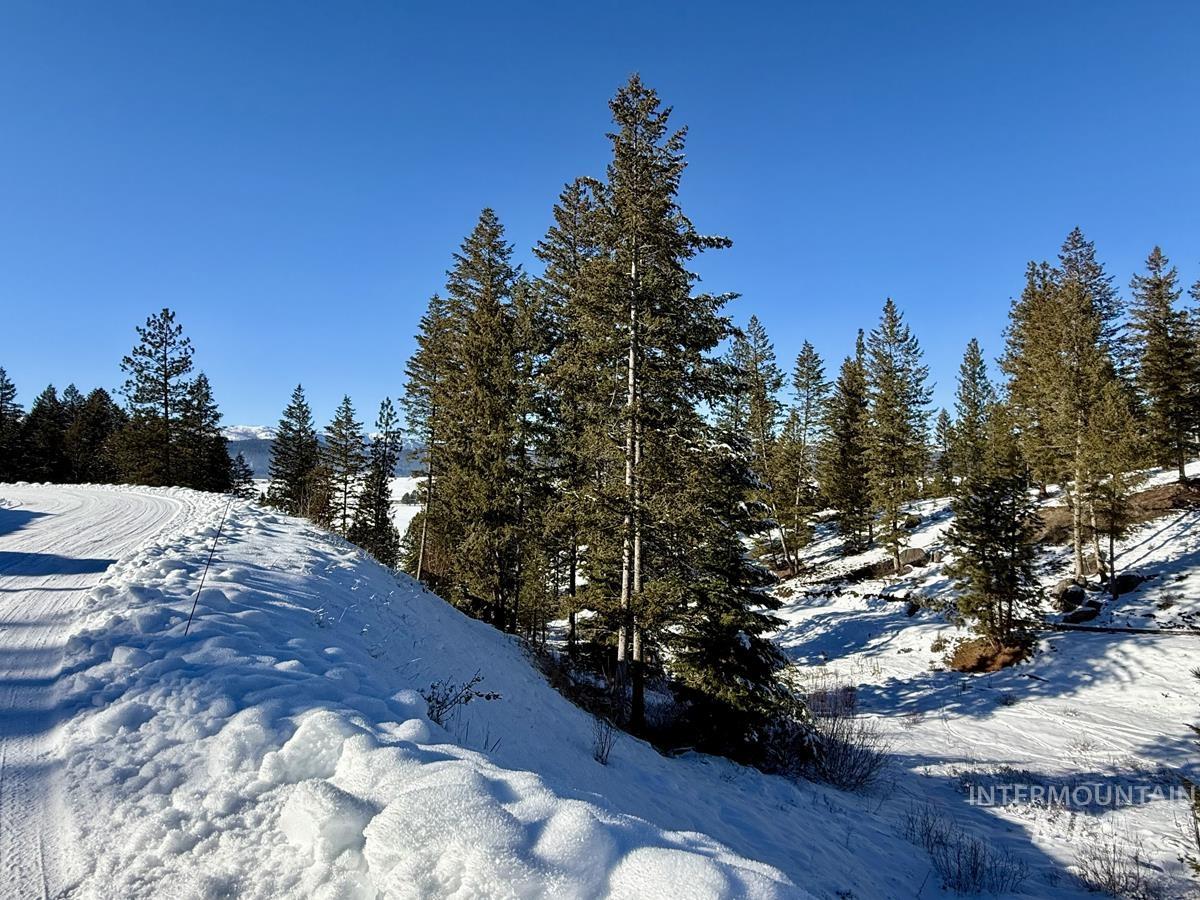 L1-b2 L1-b2 San Ignacio Way Cascade, ID 83611 - Photo 8 of 15