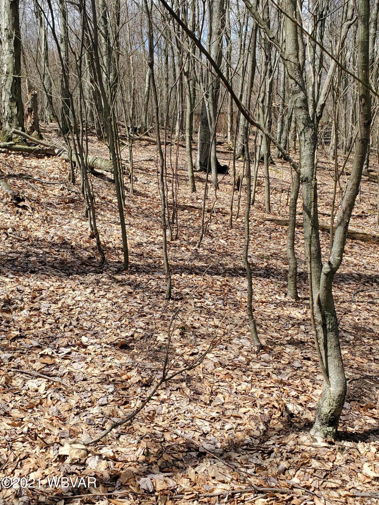 Ridge Road, Unit 83 Beech Creek, PA 16822 - Photo 26 of 27 Gallery Image 26