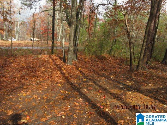 205 Wolf Pen Ridge Road Pell City, AL 35128 - Photo 5 of 50