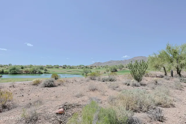a view of a road with a yard