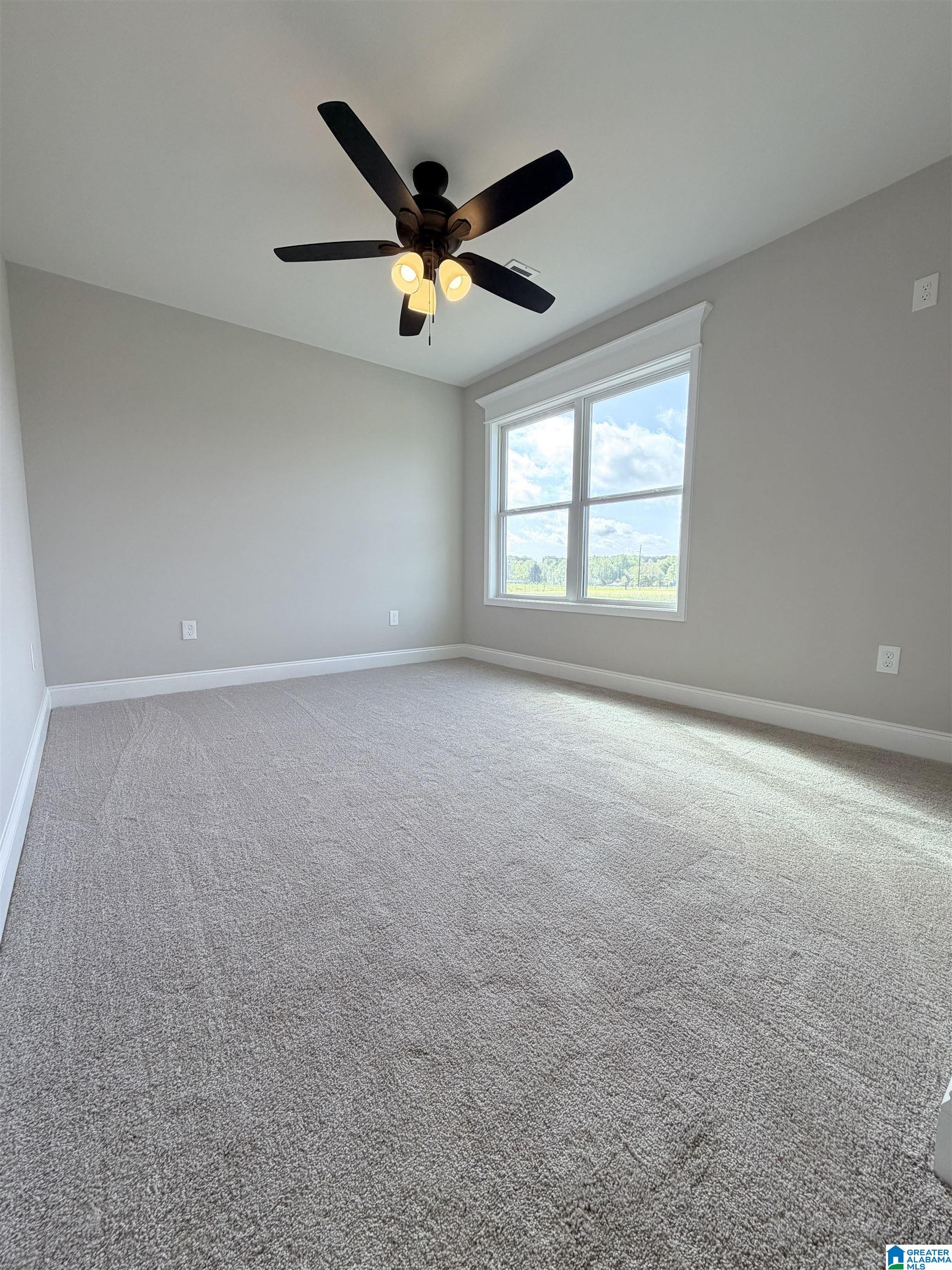 45 County Road 798 Clanton, AL 35045 - Photo 11 of 24
