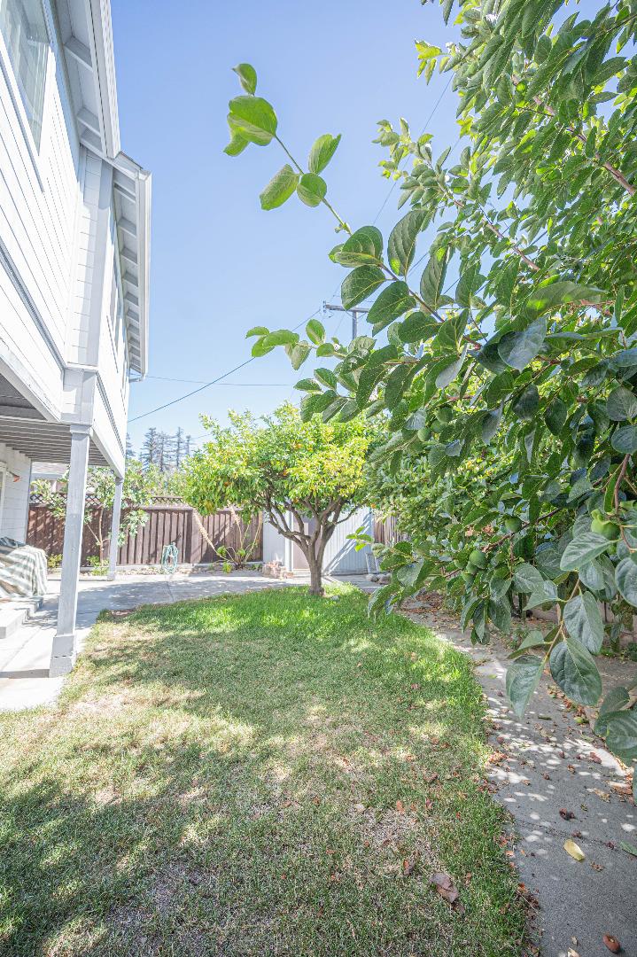 1184 Inverness Avenue Santa Clara, CA 95050 - Photo 27 of 29 a view of a yard with a tree