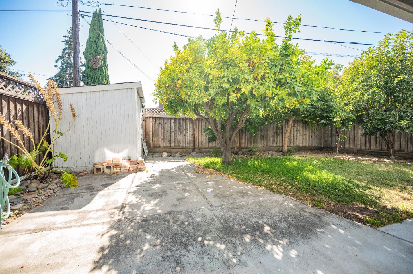 1184 Inverness Avenue Santa Clara, CA 95050 - Photo 29 of 29 a backyard of a house with plants and large tree
