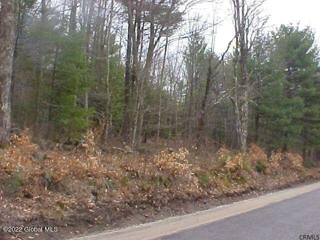 178 Military Road Edinburg, NY 12134 - Photo 1 of 12 20211118074335834600000000-o