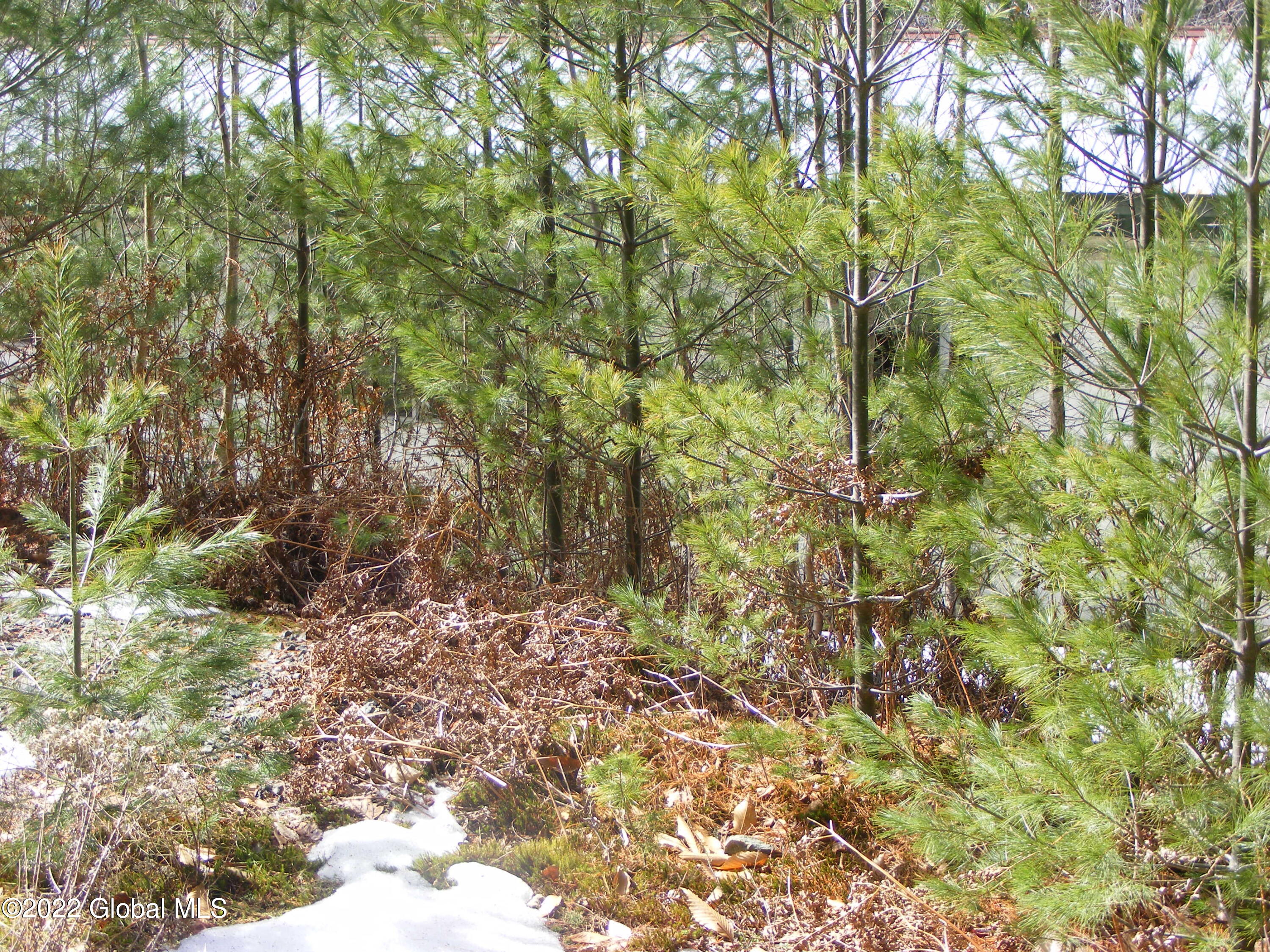 178 Military Road Edinburg, NY 12134 - Photo 11 of 12 DSCF2692