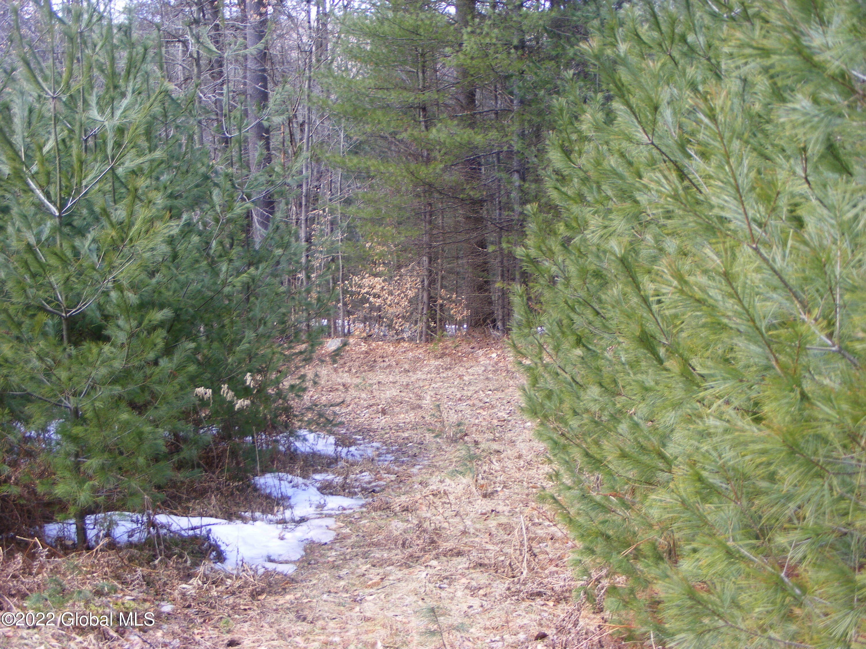 178 Military Road Edinburg, NY 12134 - Photo 12 of 12 DSCF2694