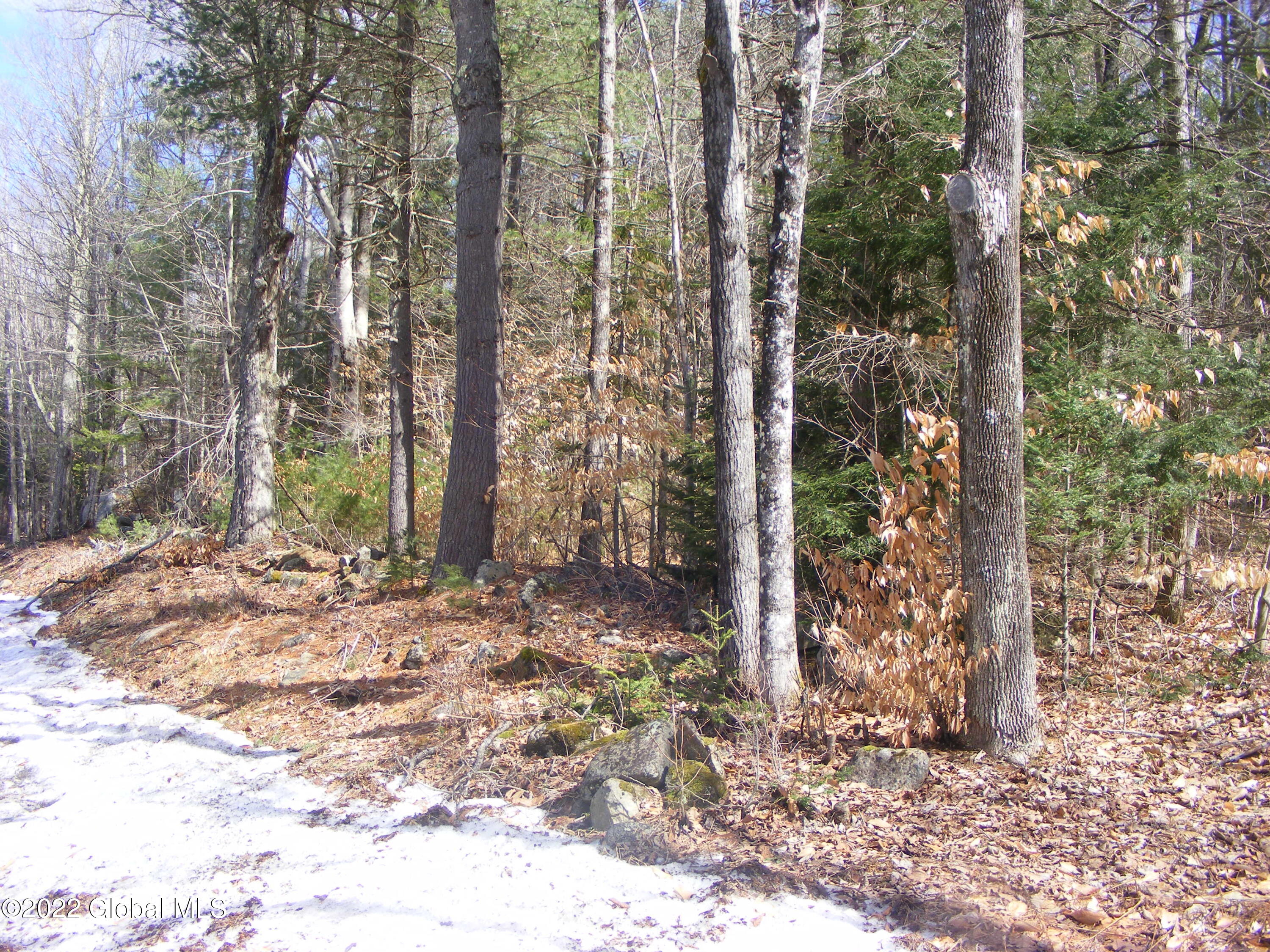 178 Military Road Edinburg, NY 12134 - Photo 2 of 12 DSCF2686