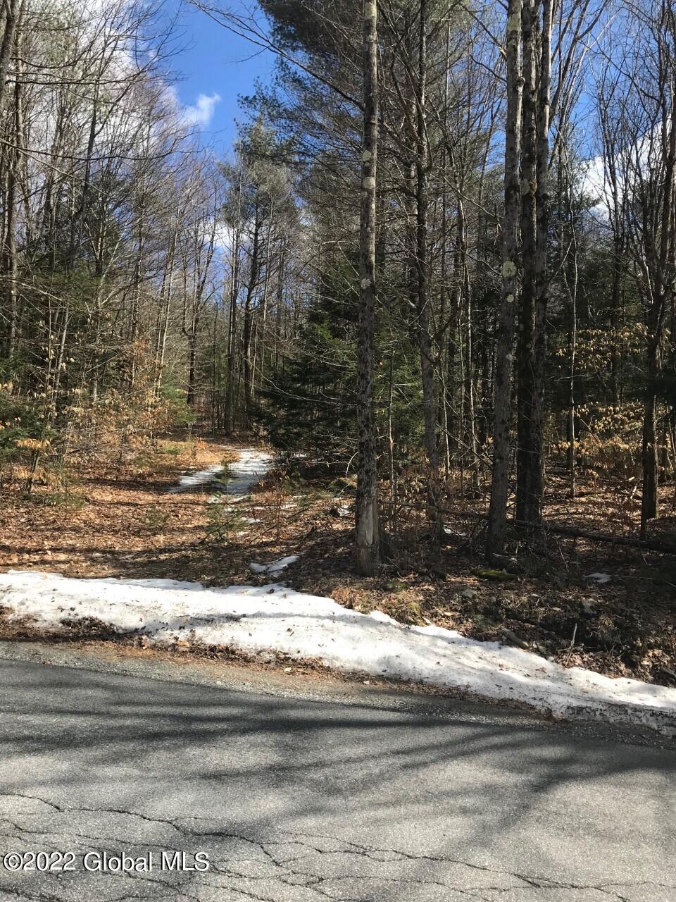 178 Military Road Edinburg, NY 12134 - Photo 3 of 12 thumbnail_IMG_8447