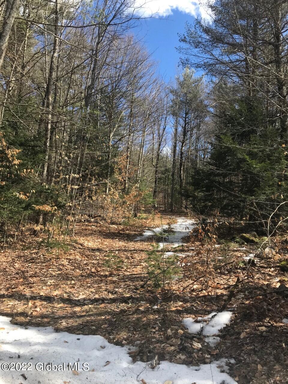 178 Military Road Edinburg, NY 12134 - Photo 4 of 12 thumbnail_IMG_8436