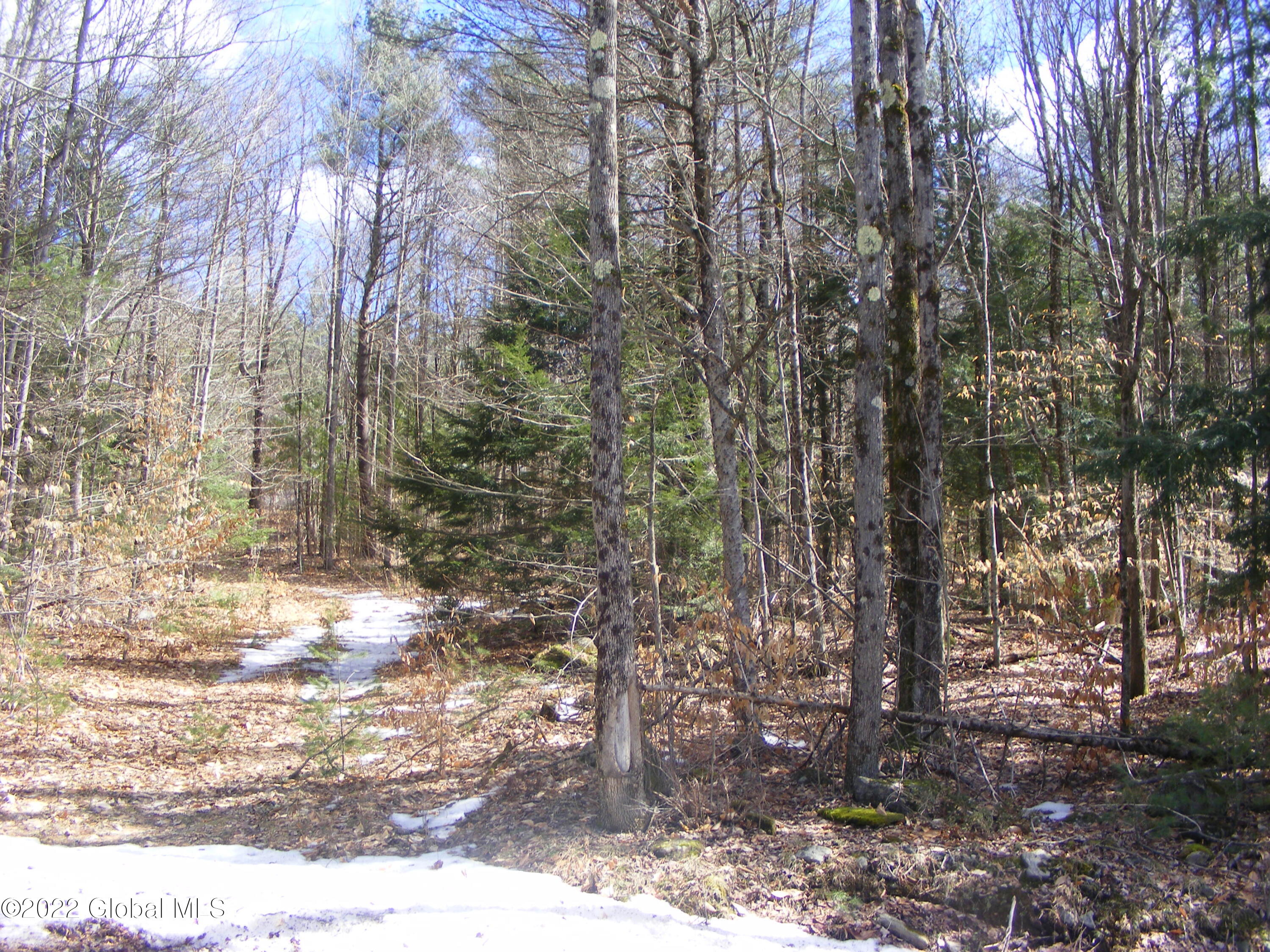178 Military Road Edinburg, NY 12134 - Photo 5 of 12 DSCF2697