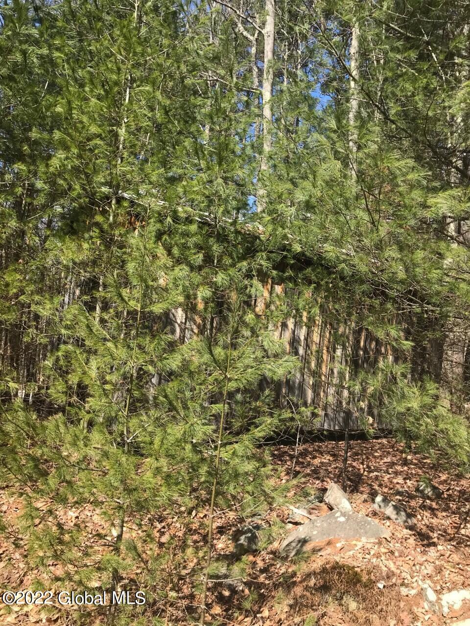 178 Military Road Edinburg, NY 12134 - Photo 8 of 12 thumbnail_IMG_8445