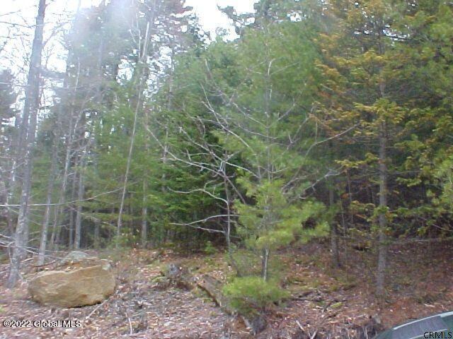 178 Military Road Edinburg, NY 12134 - Photo 9 of 12 20211118074335692998000000-o