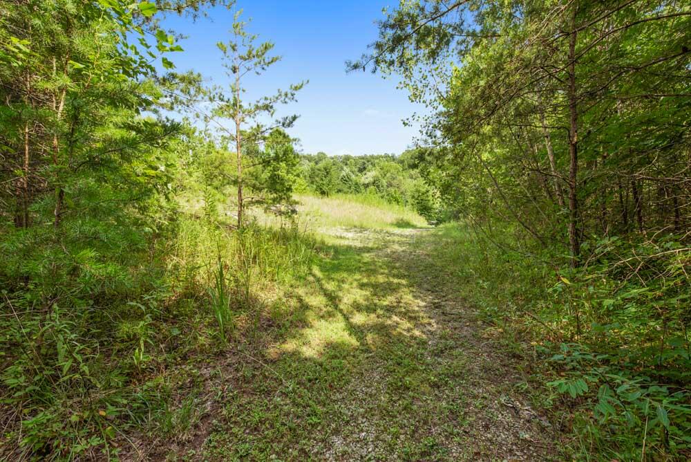 667 Boone Creek Road Stanton, KY 40380 - Photo 26 of 33 DSC_1811