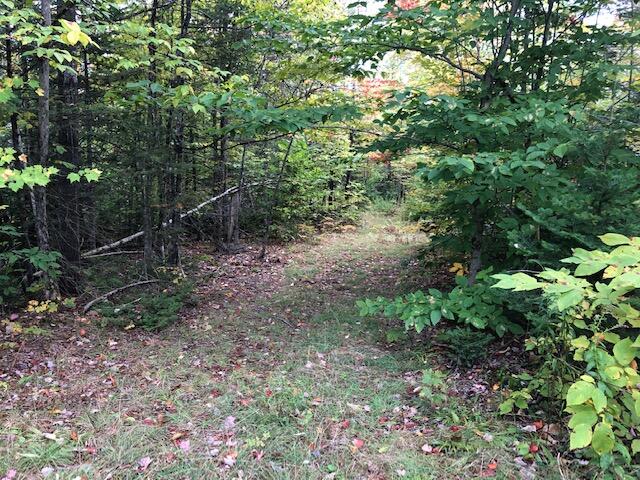 960 Milo Rpad Road Sebec, ME 04481 - Photo 14 of 14 IMG_4903 (1)
