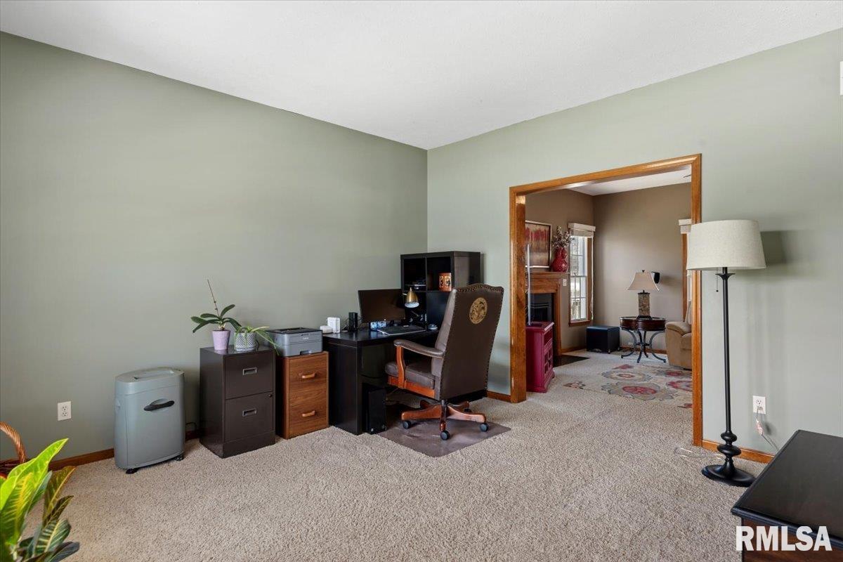 3725 Indian Grass Lane Springfield, IL 62712 - Photo 18 of 48