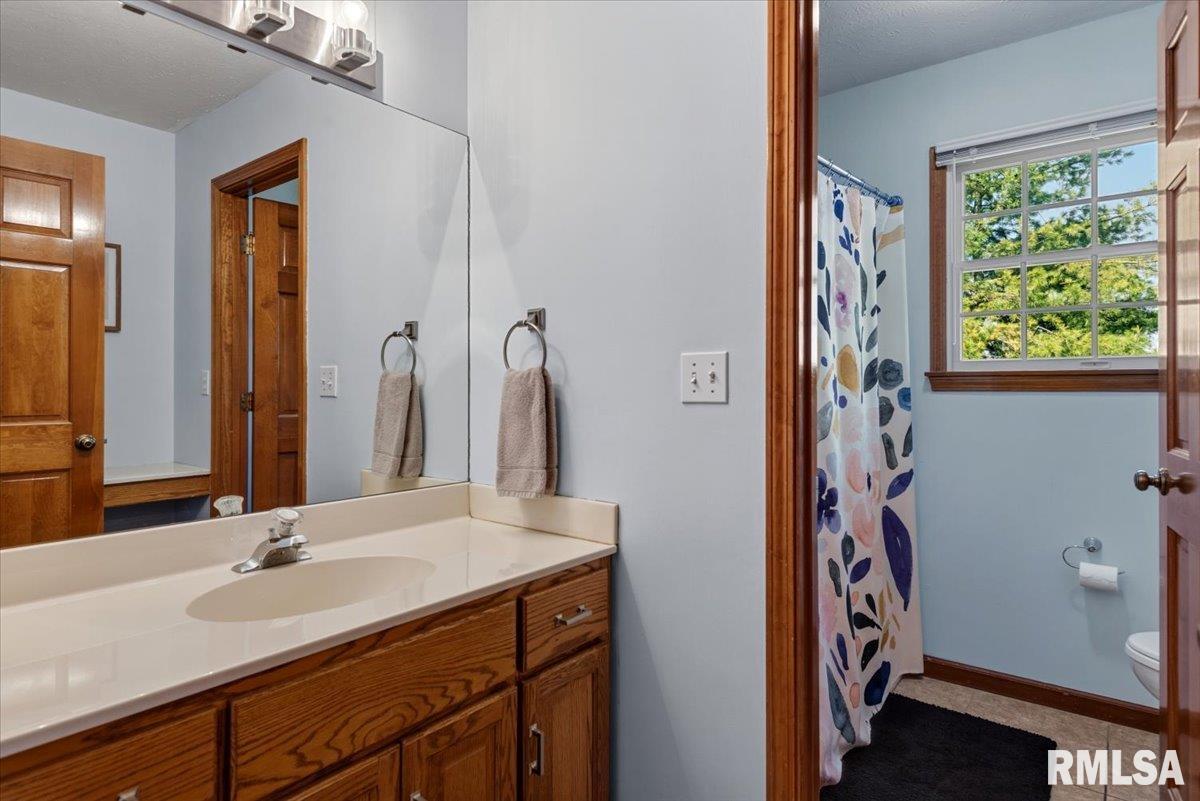 3725 Indian Grass Lane Springfield, IL 62712 - Photo 25 of 48